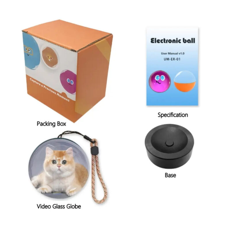 5647977c-833d-4fc8-b4b7-61a15491d7ae-0.jpeg 543348044591005703