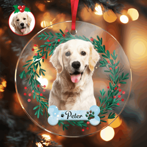 CBS9495.png 551791480348344320