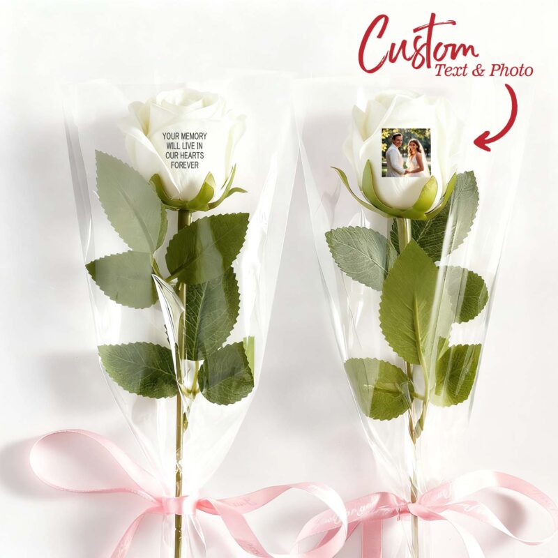 PS0P026X01.jpg 551828223697092611