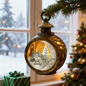 05061283-d27c-46e8-b81f-75d9556a6677-0.jpeg 557881534443421699