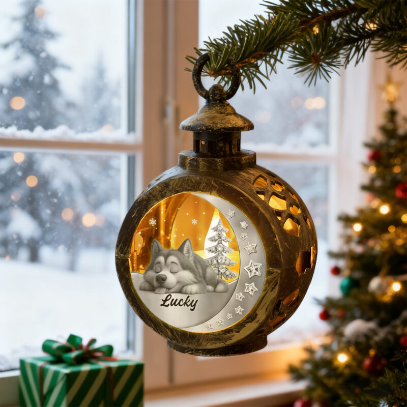 05061283-d27c-46e8-b81f-75d9556a6677-0.jpeg 557881534443421699