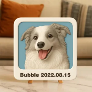 cd864193c66125c3c12e6873d6e80a3e.webp 557883143349075968